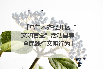 乌鲁木齐经开区“文明盲盒”活动倡导全民践行文明行为