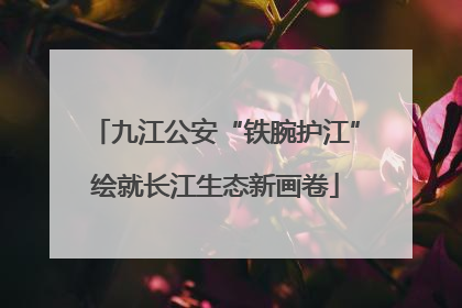 九江公安“铁腕护江”绘就长江生态新画卷