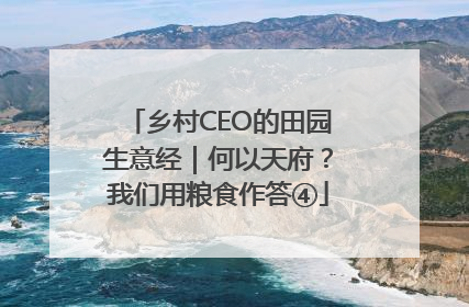 乡村CEO的田园生意经｜何以天府？我们用粮食作答④