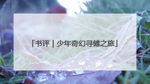 书评｜少年奇幻寻傩之旅
