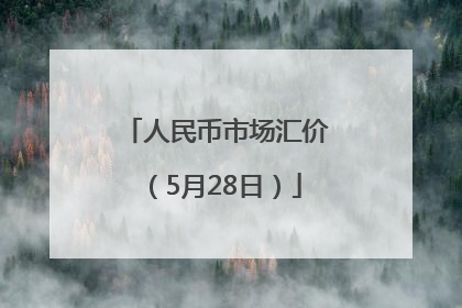 人民币市场汇价（5月28日）
