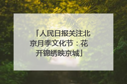 人民日报关注北京月季文化节：花开锦绣映京城
