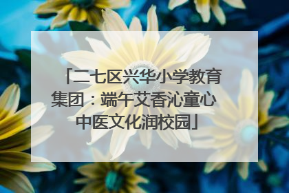 二七区兴华小学教育集团：端午艾香沁童心 中医文化润校园