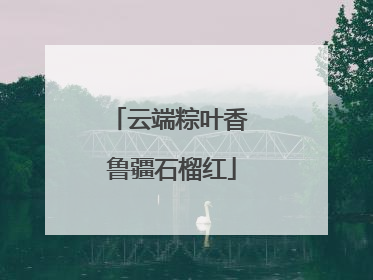 云端粽叶香 鲁疆石榴红