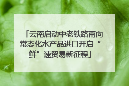 云南启动中老铁路南向常态化水产品进口开启“鲜”速贸易新征程