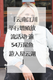 云南江川举行增殖放流活动 逾54万尾鱼游入星云湖
