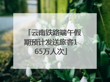 云南铁路端午假期预计发送旅客165万人次