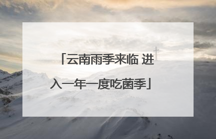 云南雨季来临 进入一年一度吃菌季