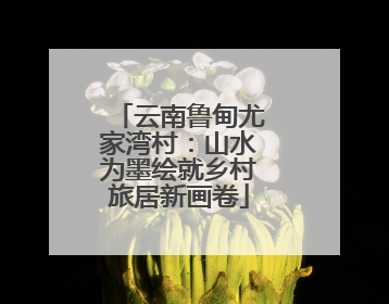 云南鲁甸尤家湾村：山水为墨绘就乡村旅居新画卷