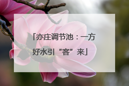 亦庄调节池：一方好水引“客”来
