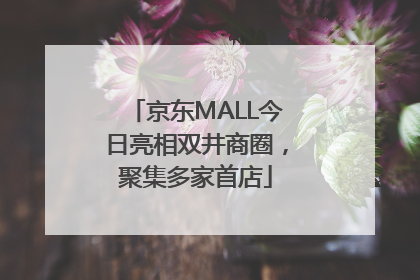 京东MALL今日亮相双井商圈，聚集多家首店