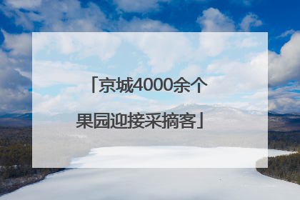 京城4000余个果园迎接采摘客