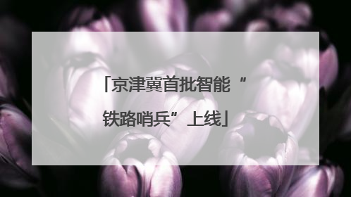 京津冀首批智能“铁路哨兵”上线
