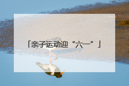 亲子运动迎“六一”