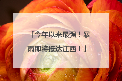 今年以来最强！暴雨即将抵达江西！