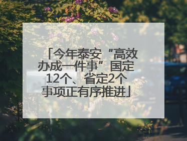 今年泰安“高效办成一件事”国定12个、省定2个事项正有序推进