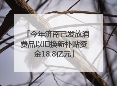 今年济南已发放消费品以旧换新补贴资金18.8亿元