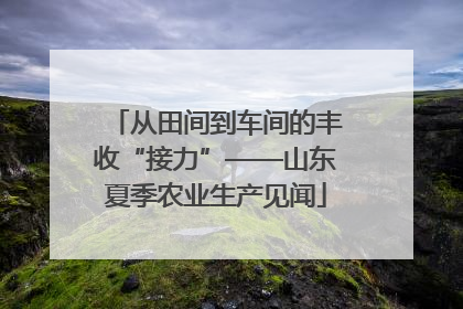 从田间到车间的丰收“接力”——山东夏季农业生产见闻