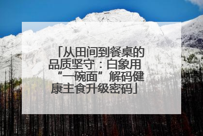 从田间到餐桌的品质坚守：白象用“一碗面”解码健康主食升级密码