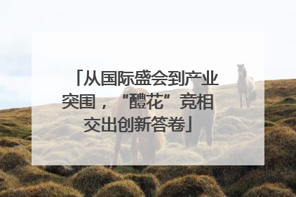 从国际盛会到产业突围，“醴花”竞相交出创新答卷