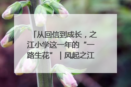 从回信到成长，之江小学这一年的“一路生花”｜风起之江 扶摇直上