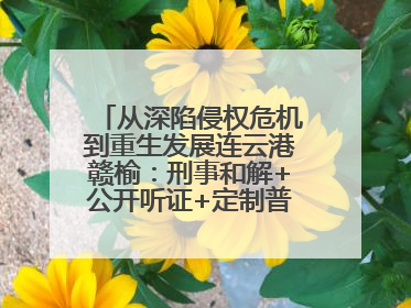 从深陷侵权危机到重生发展连云港赣榆：刑事和解+公开听证+定制普法，让玩具公司回到正轨