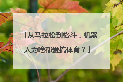 从马拉松到格斗，机器人为啥都爱搞体育？