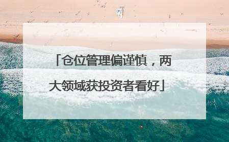 仓位管理偏谨慎，两大领域获投资者看好