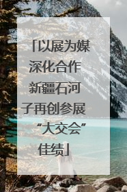 以展为媒 深化合作 新疆石河子再创参展“大交会”佳绩