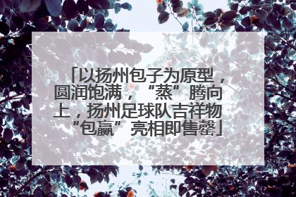 以扬州包子为原型，圆润饱满，“蒸”腾向上，扬州足球队吉祥物“包赢”亮相即售罄