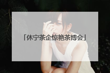 休宁茶企惊艳茶博会