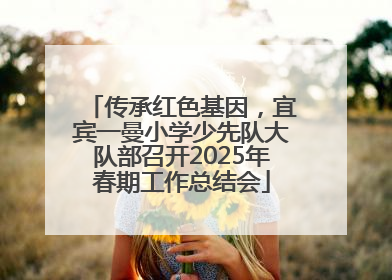 传承红色基因，宜宾一曼小学少先队大队部召开2025年春期工作总结会
