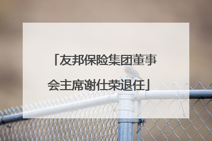 友邦保险集团董事会主席谢仕荣退任