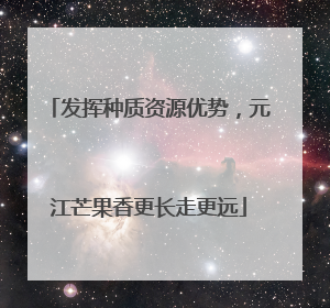 发挥种质资源优势，元江芒果香更长走更远