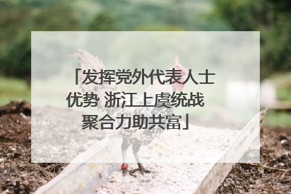 发挥党外代表人士优势 浙江上虞统战聚合力助共富