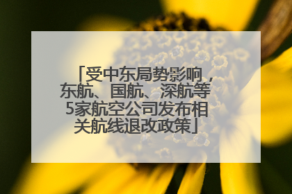 受中东局势影响，东航、国航、深航等5家航空公司发布相关航线退改政策