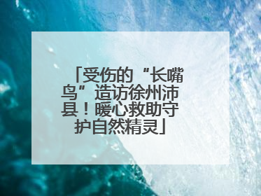 受伤的“长嘴鸟”造访徐州沛县！暖心救助守护自然精灵