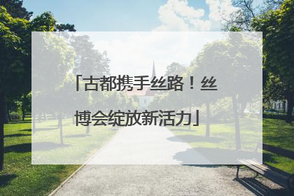 古都携手丝路！丝博会绽放新活力