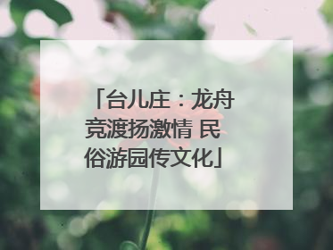 台儿庄：龙舟竞渡扬激情 民俗游园传文化
