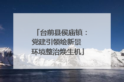 台前县侯庙镇：党建引领绘新景 环境整治焕生机