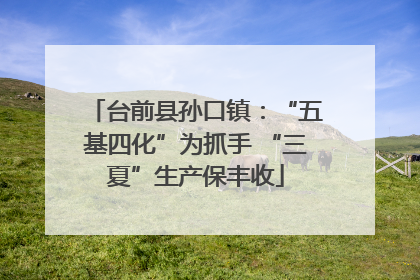 台前县孙口镇：“五基四化”为抓手 “三夏”生产保丰收