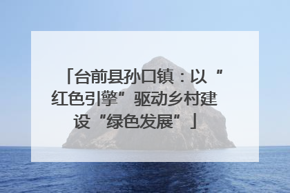 台前县孙口镇：以“红色引擎”驱动乡村建设“绿色发展”