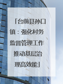 台前县孙口镇：强化村务监督管理工作 推动基层治理高效能