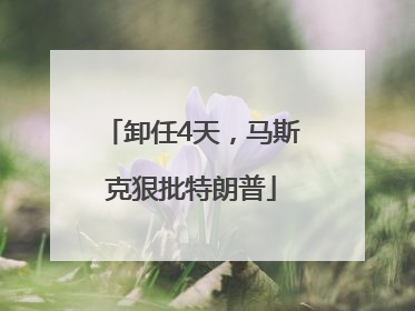 卸任4天，马斯克狠批特朗普