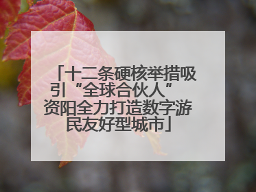 十二条硬核举措吸引“全球合伙人” 资阳全力打造数字游民友好型城市