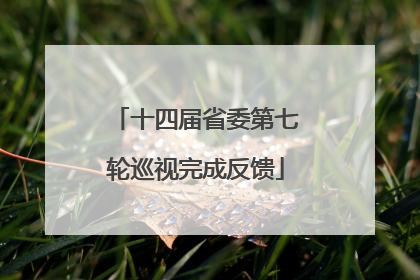 十四届省委第七轮巡视完成反馈