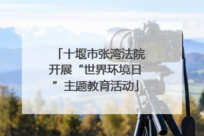十堰市张湾法院开展“世界环境日”主题教育活动