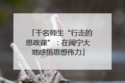 千名师生“行走的思政课”：在闽宁大地感悟思想伟力