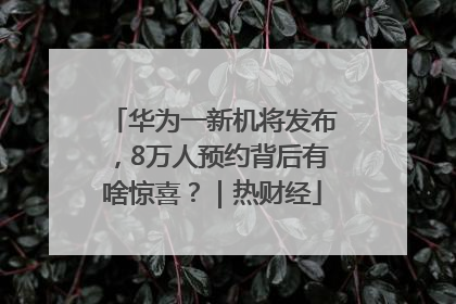 华为一新机将发布，8万人预约背后有啥惊喜？｜热财经