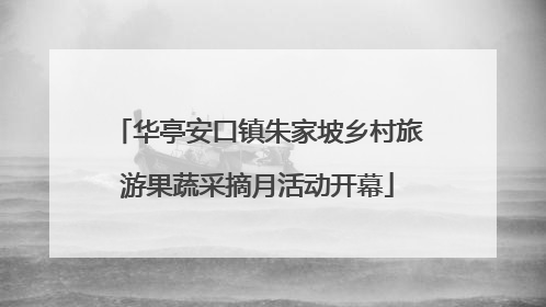 华亭安口镇朱家坡乡村旅游果蔬采摘月活动开幕